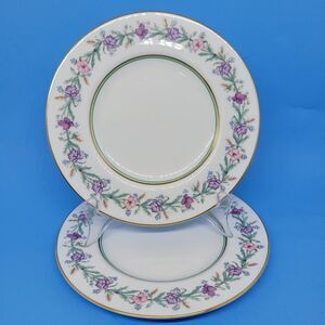 Royal Worcester "ELYSIAN" Set Of 2 Vintage 8" Salad Plates VGUC